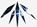 detaillogo