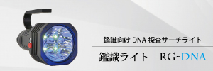 関連DNA